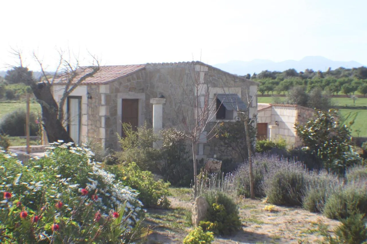 Agroturisme Es Raco De Maria Maria De La Salut