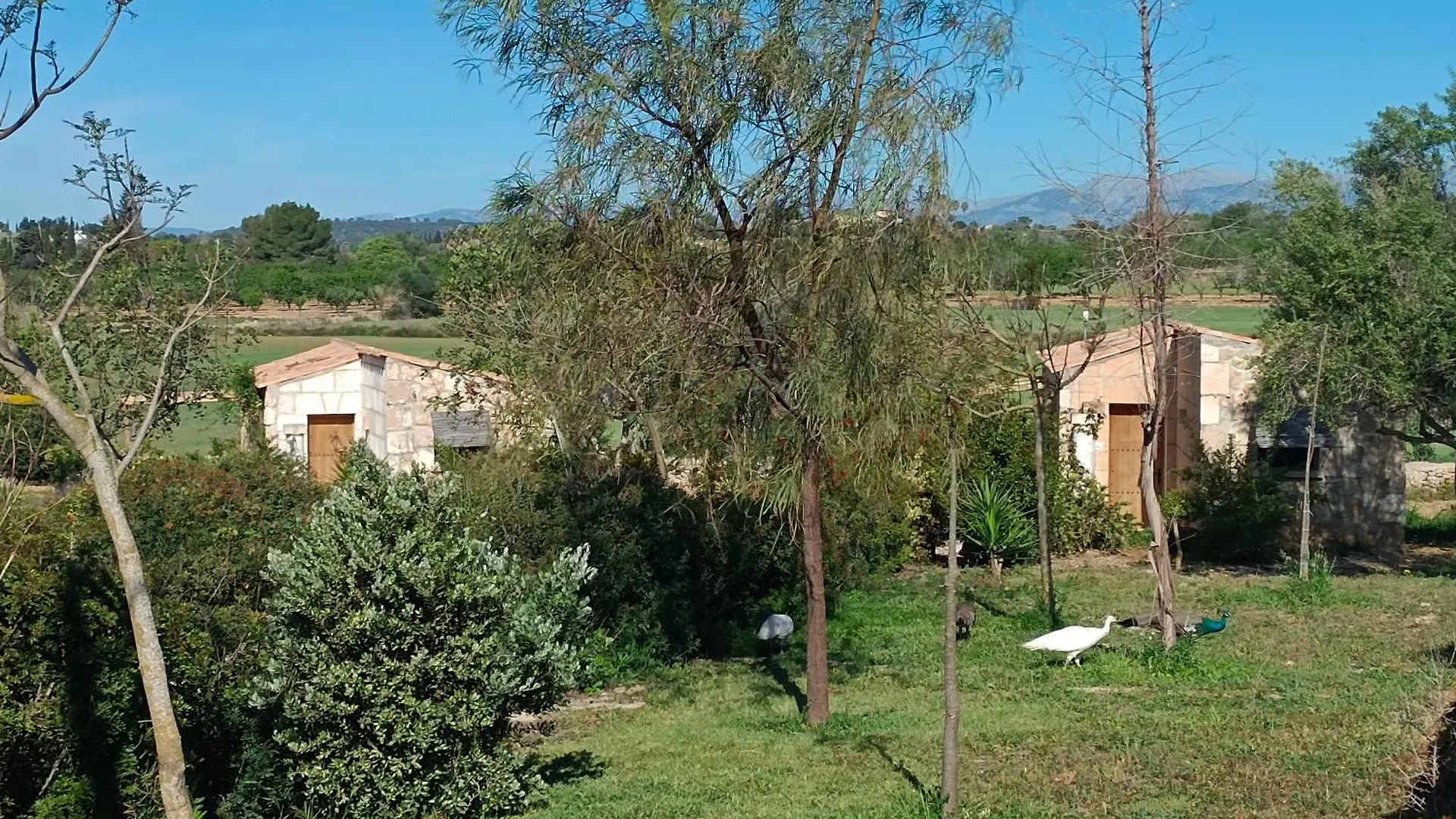*** Szálloda Agroturisme Es Raco De Maria María de la Salud Spanyolország